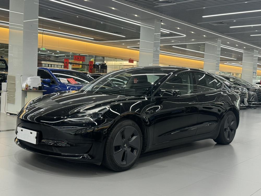 Tesla Model 3 2021 car image 