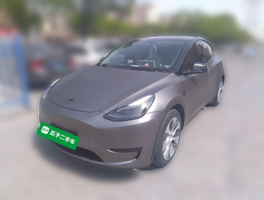 Tesla Model Y 2022 car image 