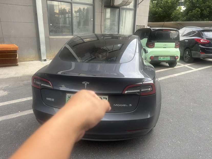 Tesla Model 3 2021 #3 Tesla Model 3 2021 car image #3