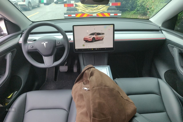 Tesla Model Y 2024 car image #11