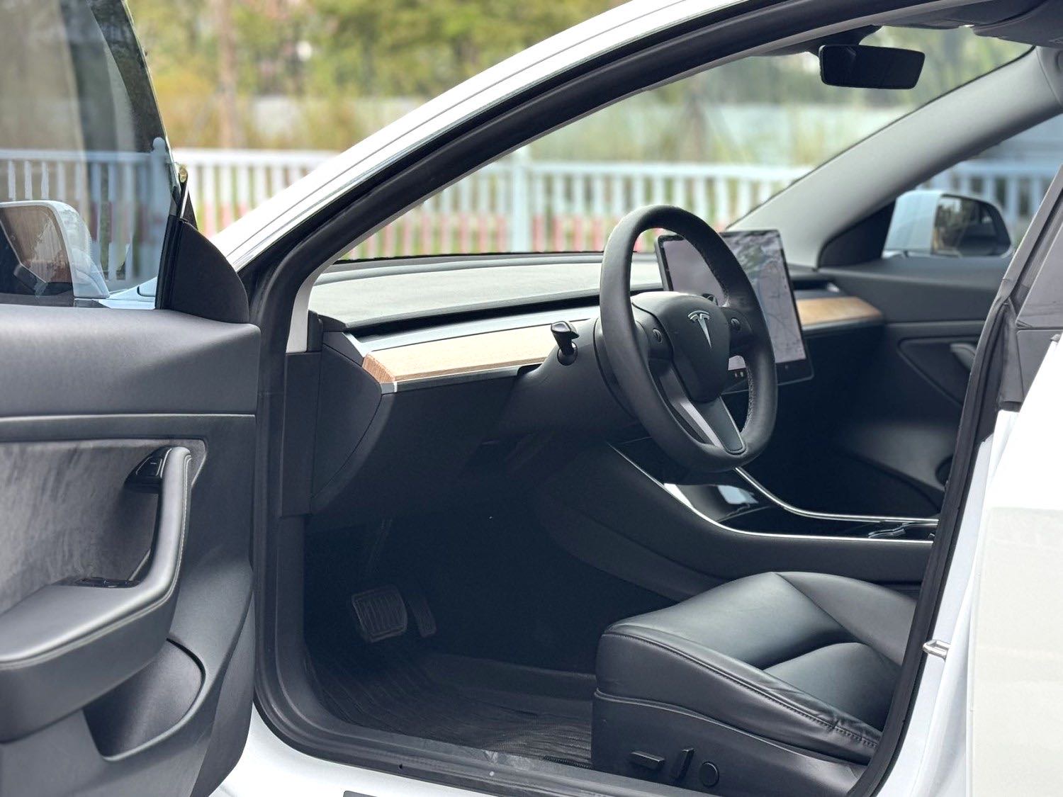 Tesla Model 3 2020 immagine di auto #8