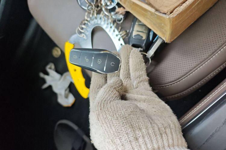 BYD Han 2022 imagen de coche #14