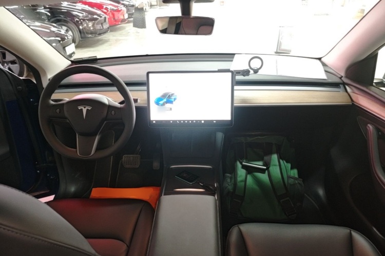Tesla Model Y 2021 car image #10