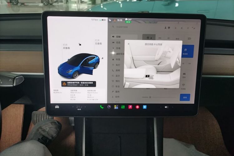 Tesla Model 3 2020 car image #13