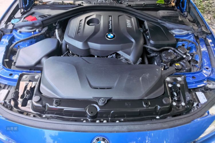 BMW 3 Series 2017 car image #22