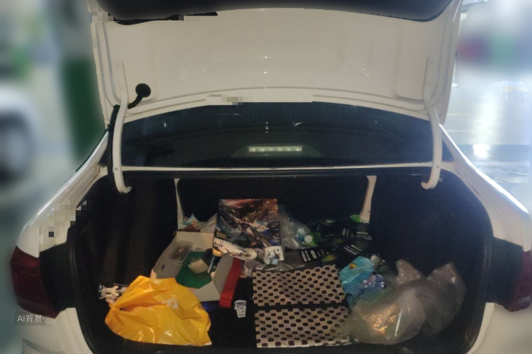 Volkswagen Lavida 2020 car image #21