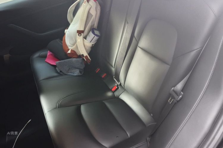 Tesla Model 3 2021 car image #19