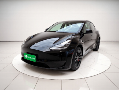 Tesla Model Y 2023 car image 