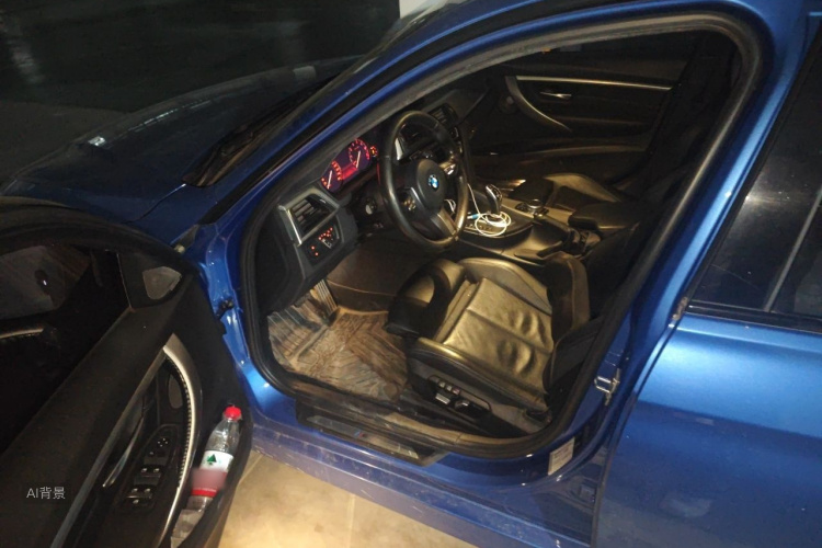 BMW 3 Series 2018 car image #18
