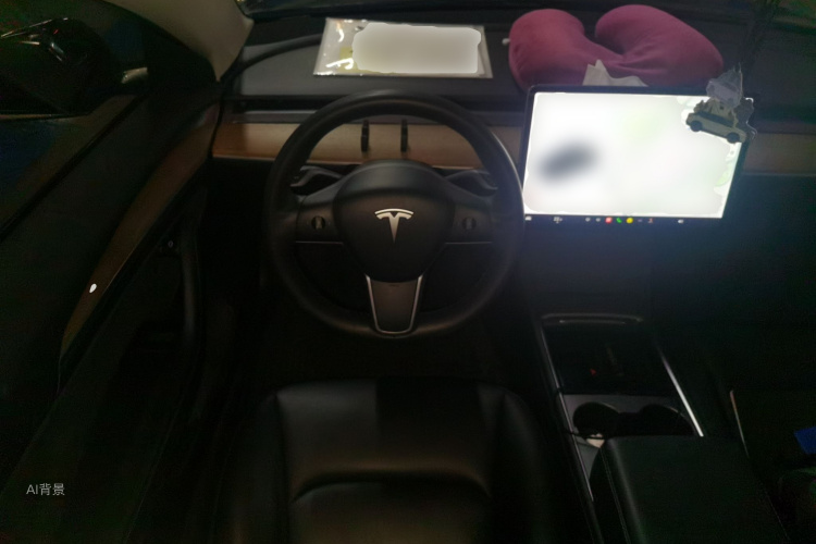Tesla Model 3 2021 car image #12