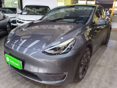Tesla Model Y 2022 Tesla Model Y 2022 car image