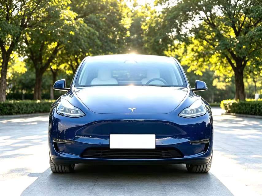 Tesla Model Y 2022 #2 Tesla Model Y 2022 car image #2