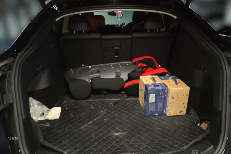 Tesla Model Y 2021 car image #21