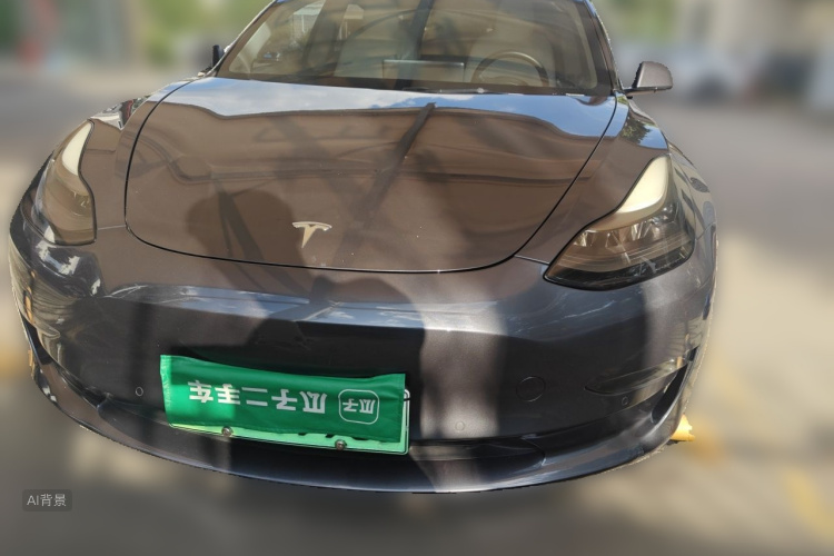Tesla Model 3 2021 car image #3