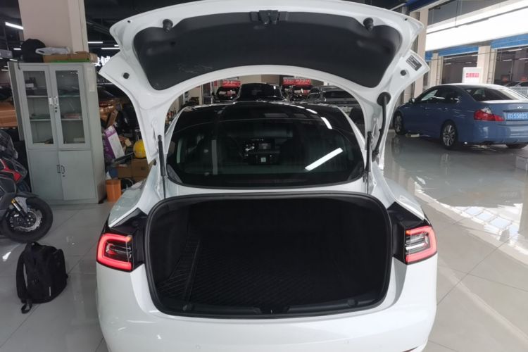 Tesla Model 3 2020 car image #19