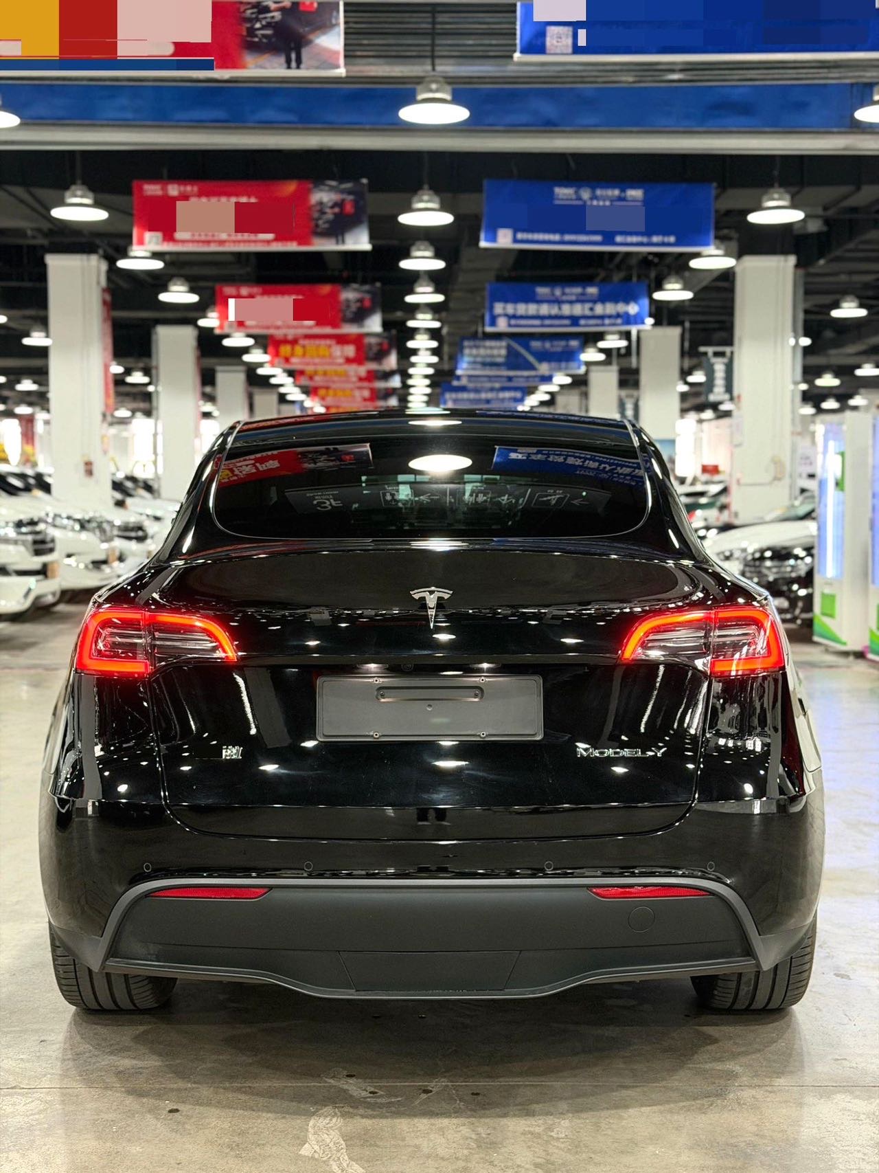 Tesla Model Y 2021 car image #5