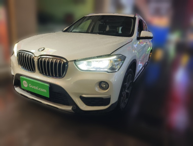 BMW X1 2019 car image 