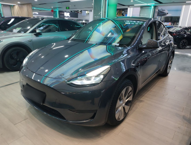Tesla Model Y 2023 car image 