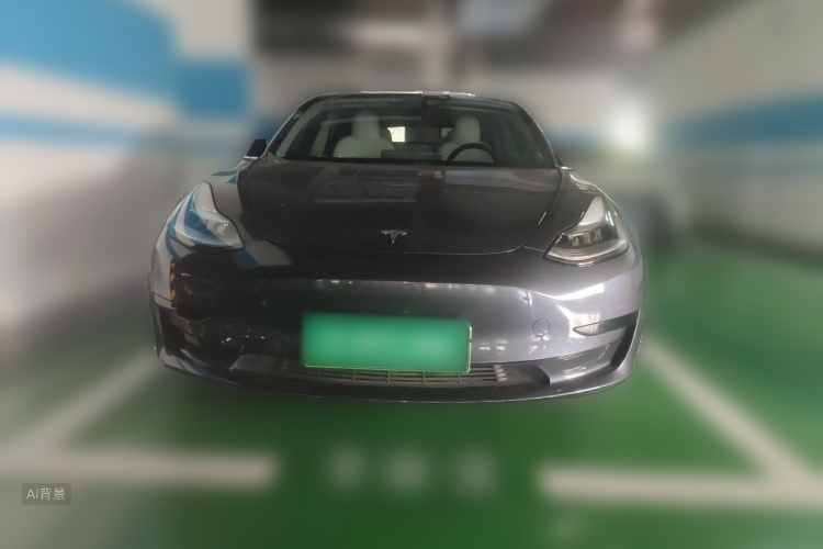 Tesla Model 3 2020 immagine di auto #3
