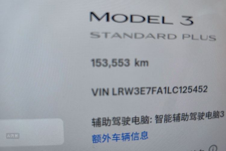 Tesla Model 3 2020 car image #14