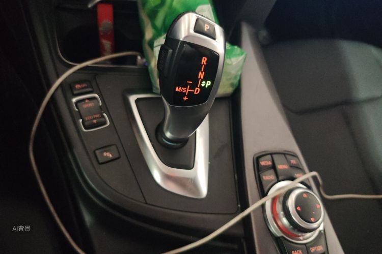BMW 3 Series 2016 car image #16