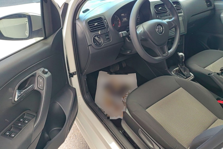 Volkswagen Polo 2018 car image #16