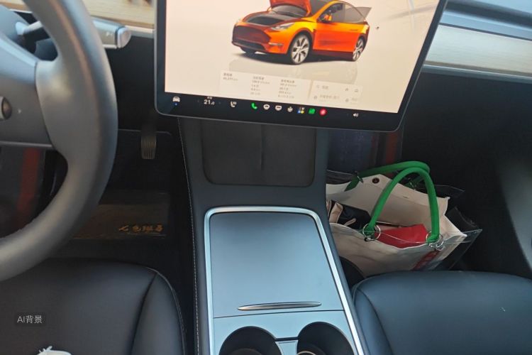 Tesla Model Y 2022 car image #15