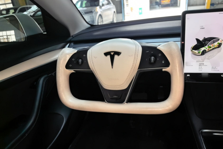 Tesla Model 3 2022 immagine di auto #11
