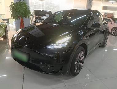 Tesla Model Y 2023 car image 