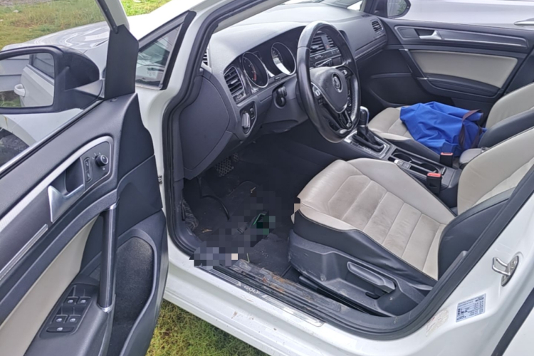 Volkswagen Golf 2017 #18 Volkswagen Golf 2017 car image #18