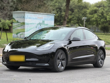 Tesla Model 3 2022 Tesla Model 3 2022 car image