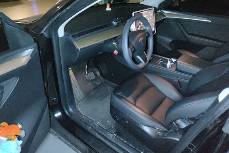 Tesla Model Y 2023 #18 Tesla Model Y 2023 immagine di auto #18