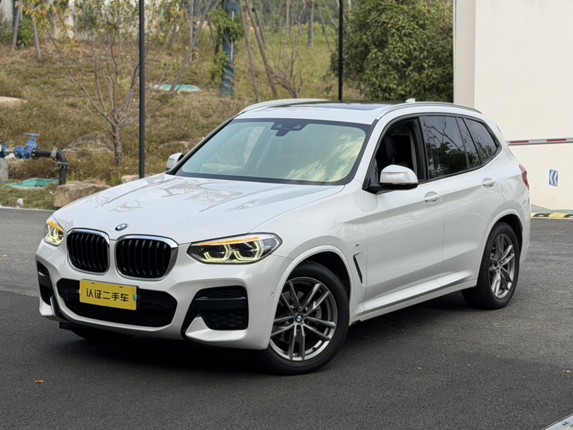 BMW X3 2019 car image 