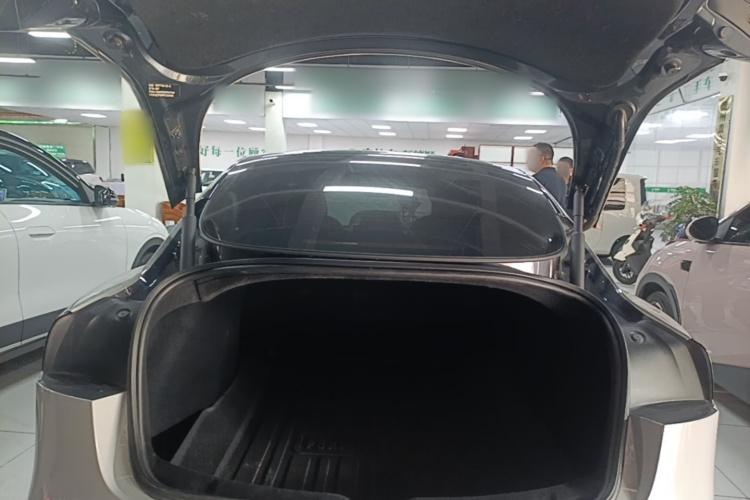 Tesla Model 3 2024 car image #19