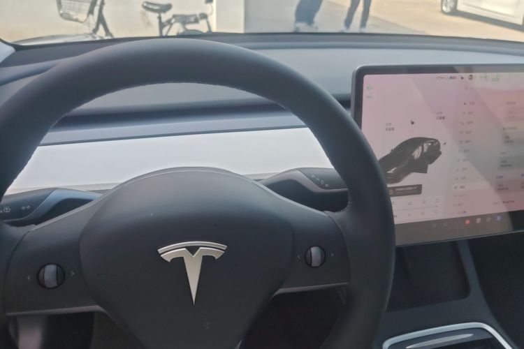 Tesla Model 3 2021 #18 Tesla Model 3 2021 car image #18