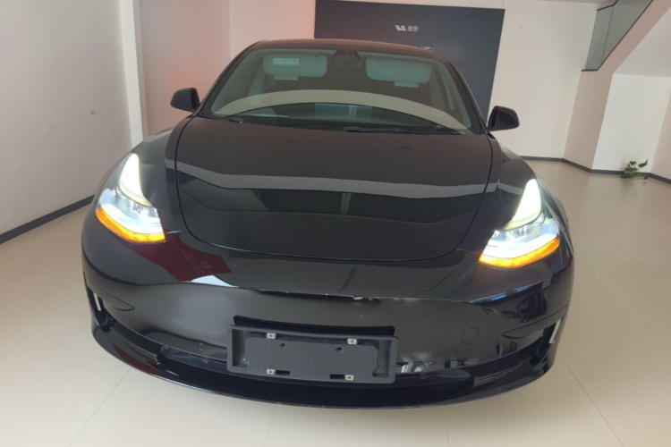 Tesla Model 3 2022 car image #3