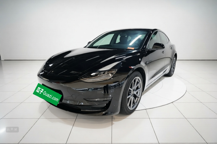 Tesla Model 3 2023 #2 Tesla Model 3 2023 car image #2