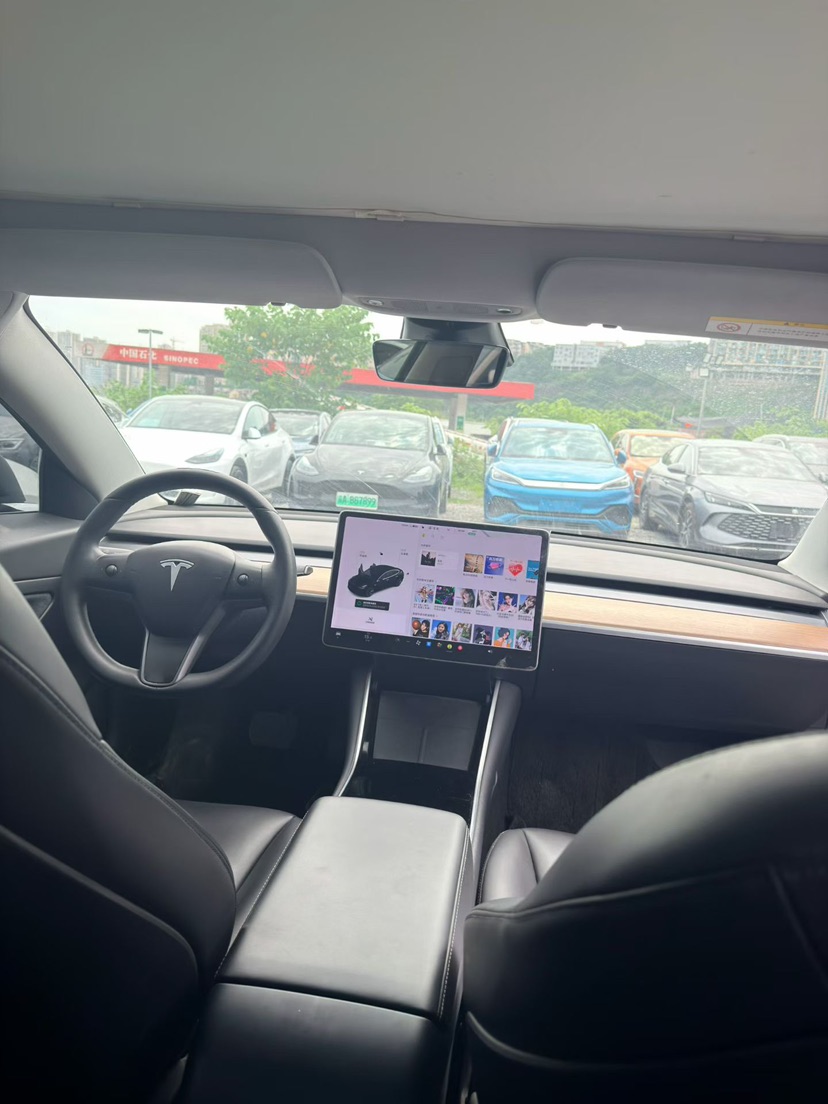 Tesla Model 3 2020 #8 Tesla Model 3 2020 car image #8