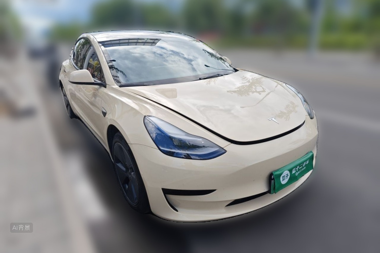 Tesla Model 3 2022 car image #4
