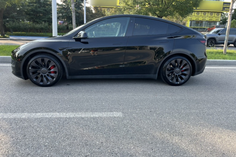 Tesla Model Y 2023 car image #6