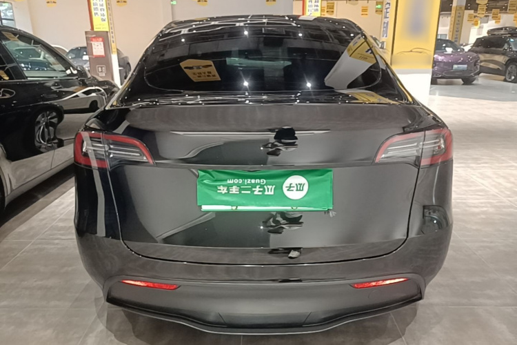 Tesla Model Y 2023 car image #6