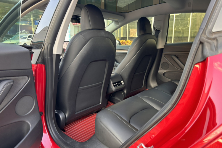 Tesla Model 3 2021 #16 Tesla Model 3 2021 صورة سيارة #16