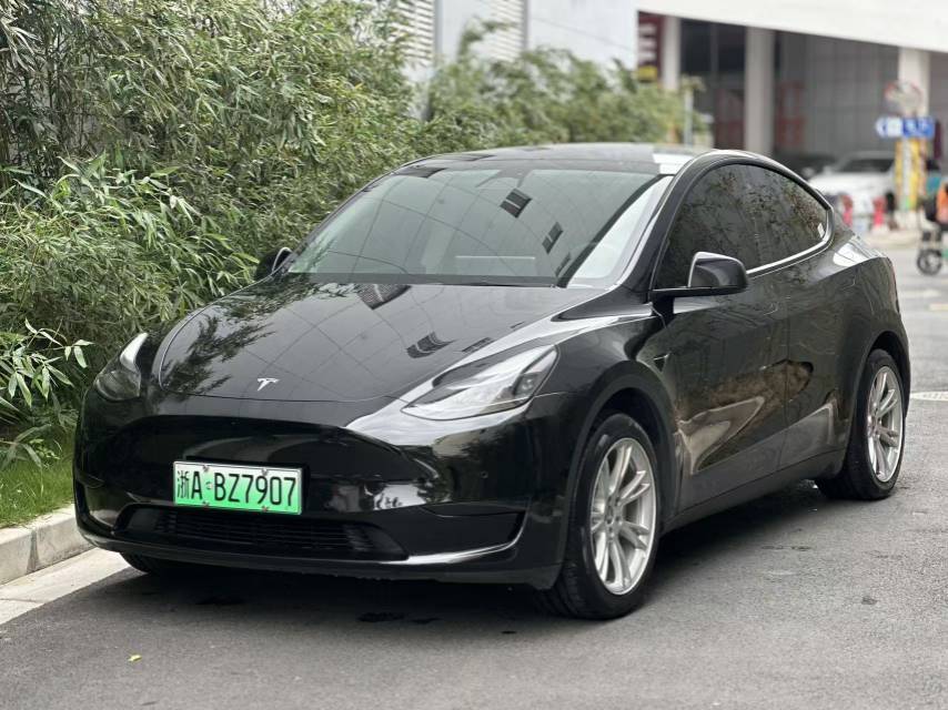 Tesla Model Y 2022 Tesla Model Y 2022 car image
