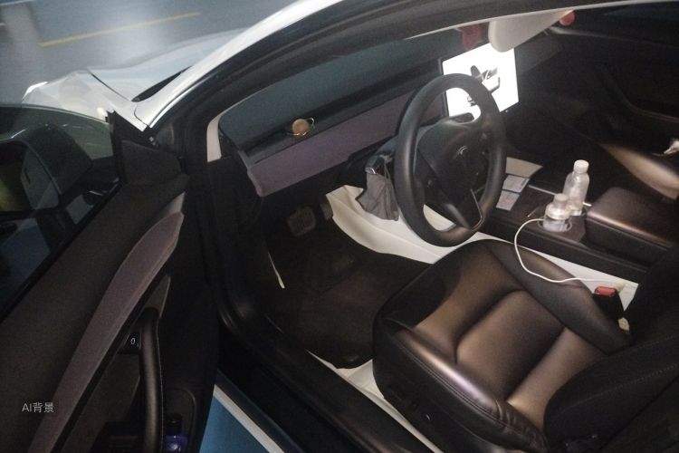 Tesla Model 3 2022 #18 Tesla Model 3 2022 car image #18