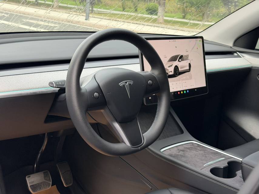 Tesla Model Y 2024 car image #12