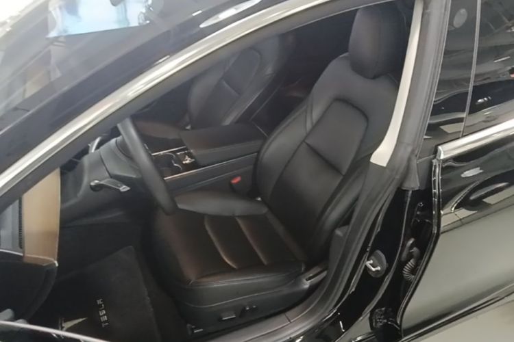 Tesla Model 3 2020 car image #15