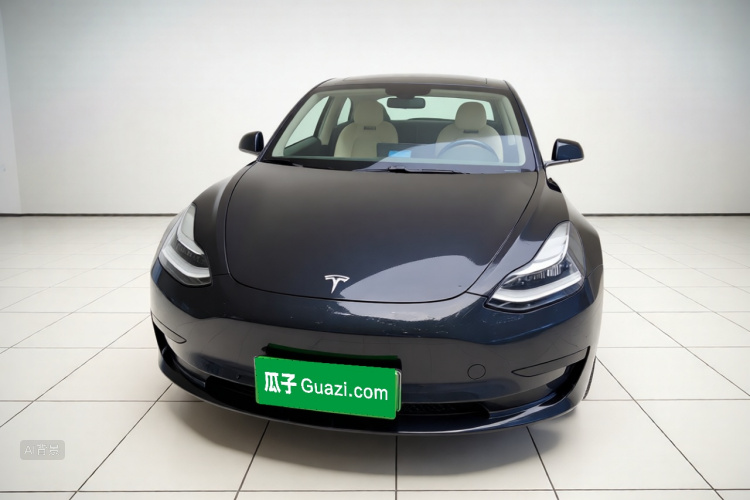 Tesla Model 3 2020 #3 Tesla Model 3 2020 car image #3