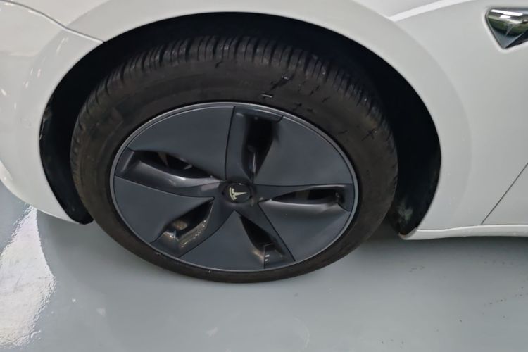 Tesla Model 3 2020 immagine di auto #9