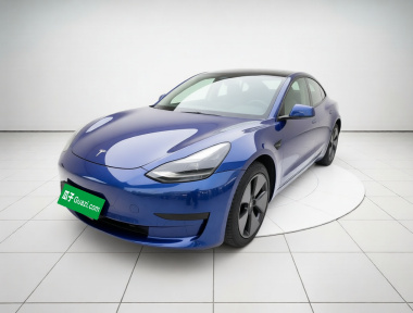 Tesla Model 3 2021 Tesla Model 3 2021 car image