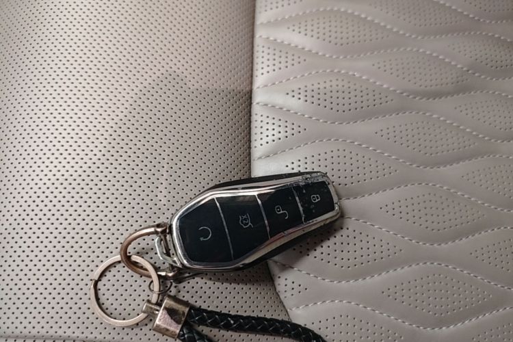 BYD Han 2024 #9 BYD Han 2024 immagine di auto #9